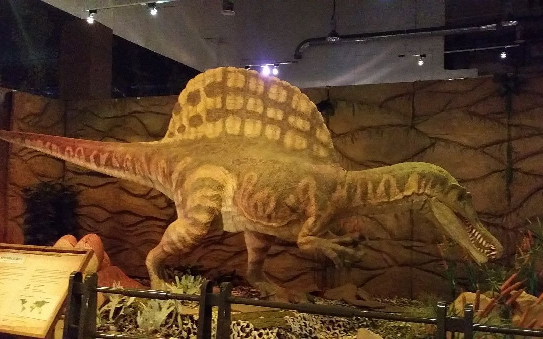 Pusat Sains & Kreativiti Terengganu-瓜拉丁加奴必去景点