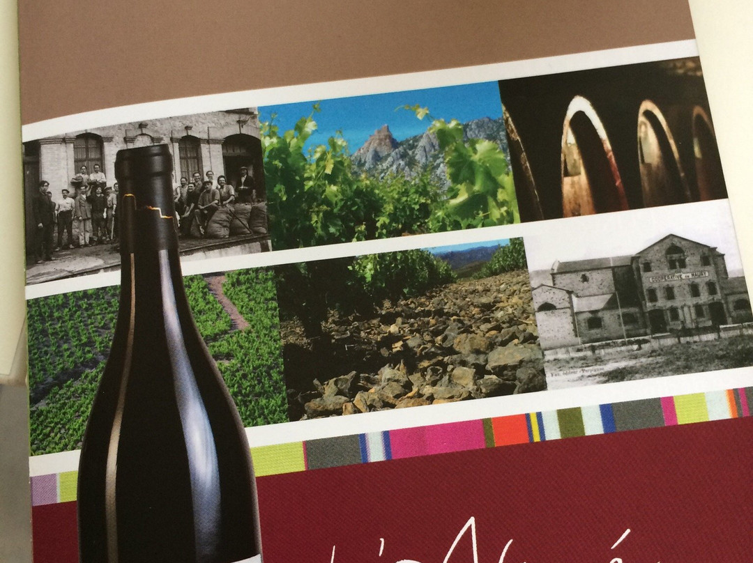 Cave Les Vignerons de Maury-Maury必去景点