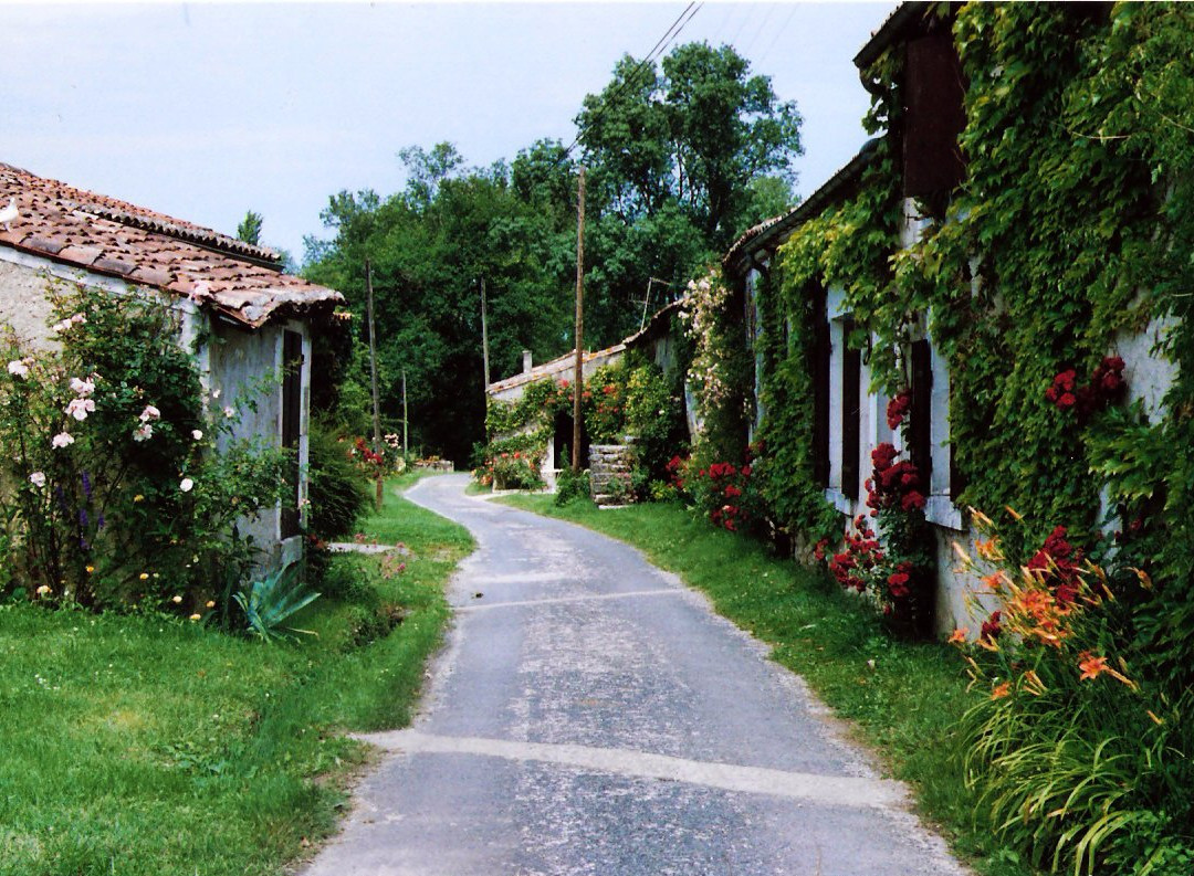 Cognac La Grange du Bois景点图片