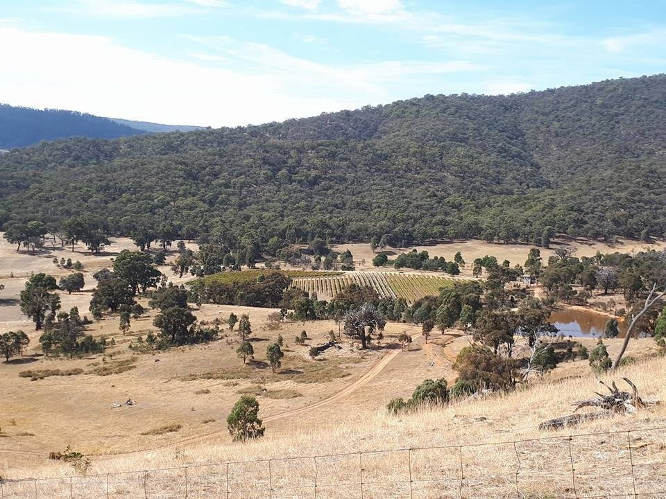 Wimmera Hills Winery-Elmhurst必去景点