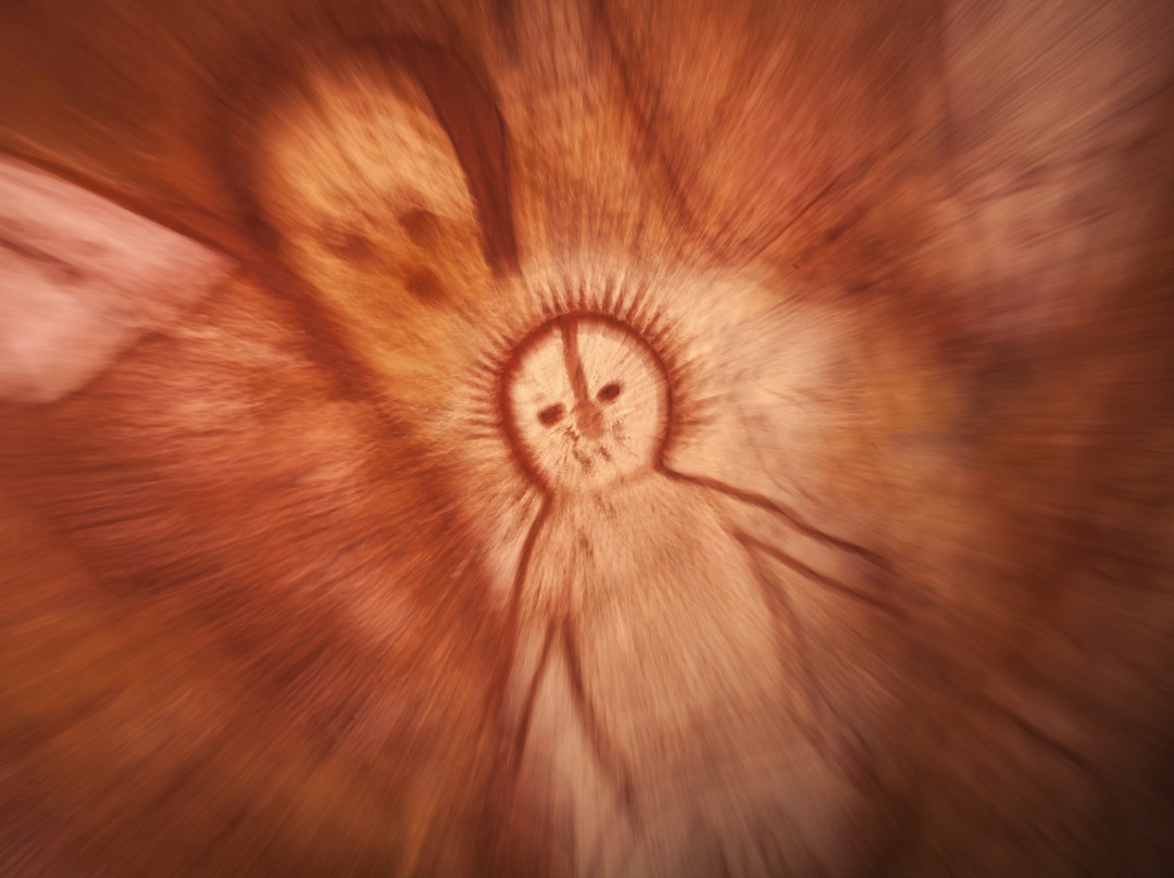 Ahoy Buccaneers - Day Cruise-布鲁姆必去景点