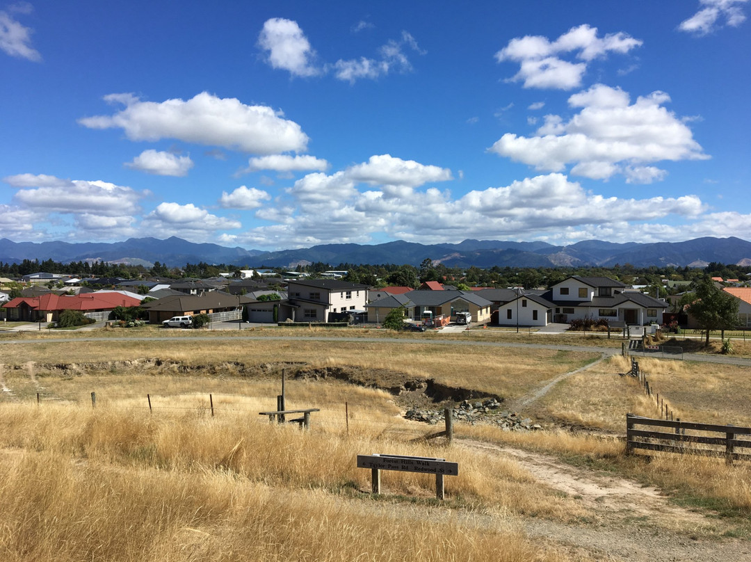 Wither Hills Mountainbike Park景点图片
