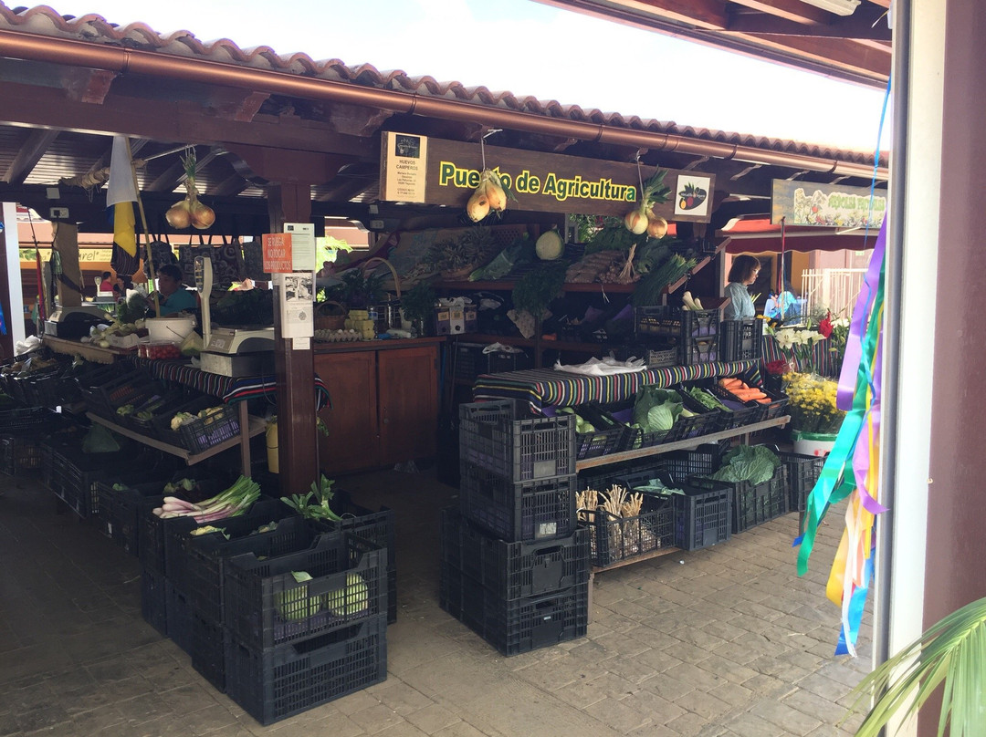Mercado de Tegueste-Tegueste必去景点