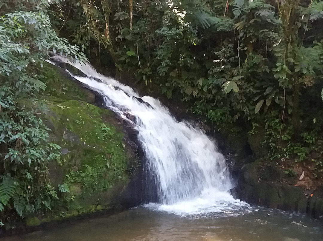 Cachoeira do Alecrim
