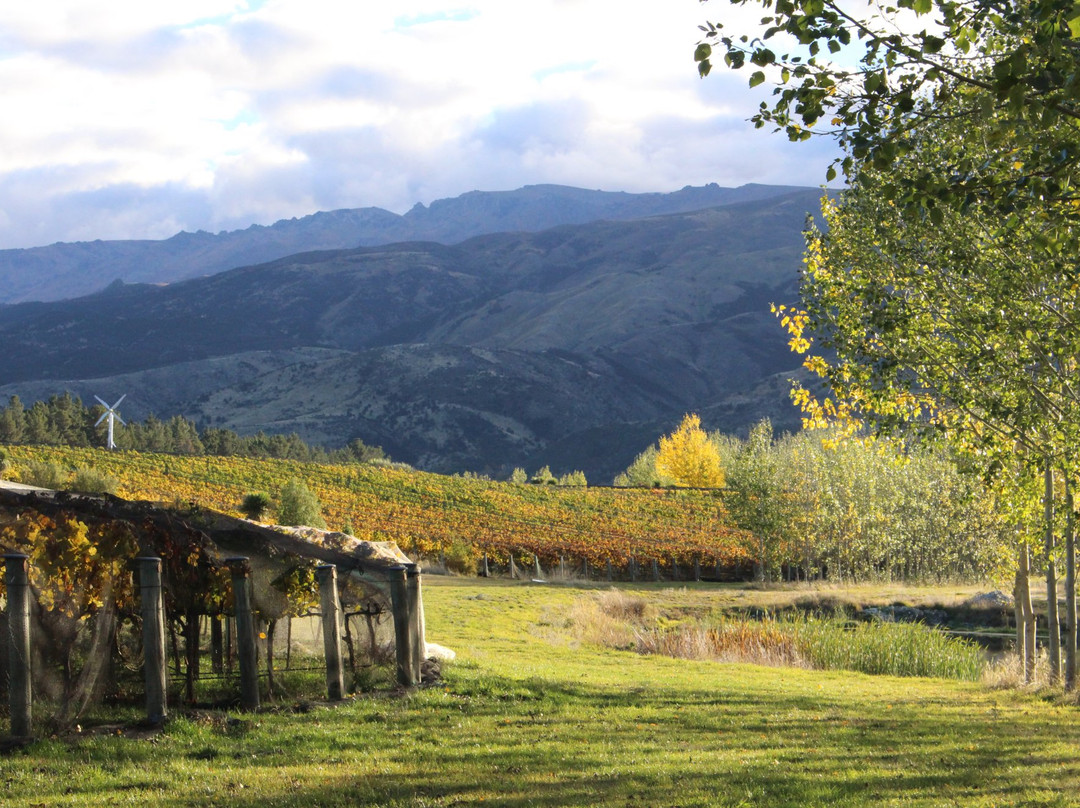Cambrians旅游景点-Māori Point Vineyard
