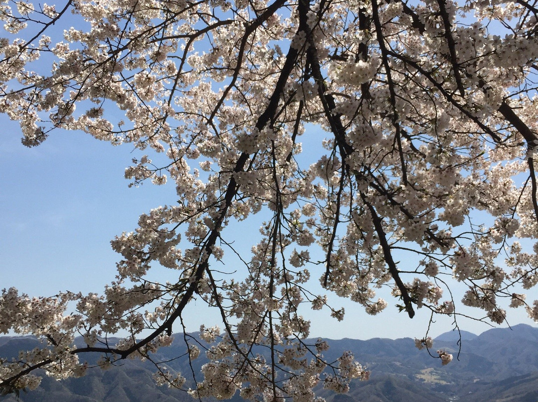 Okumiya-长瀞町必去景点