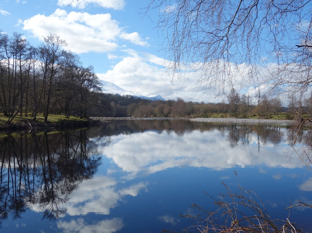 Bunroy Park Holiday Lodges & Camp Site