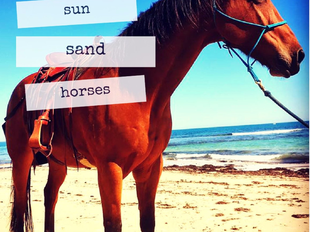 Port Willunga Beach Rides景点图片