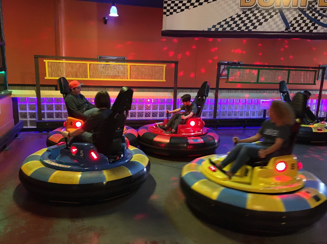 Crazy pinz-韦恩堡必去景点