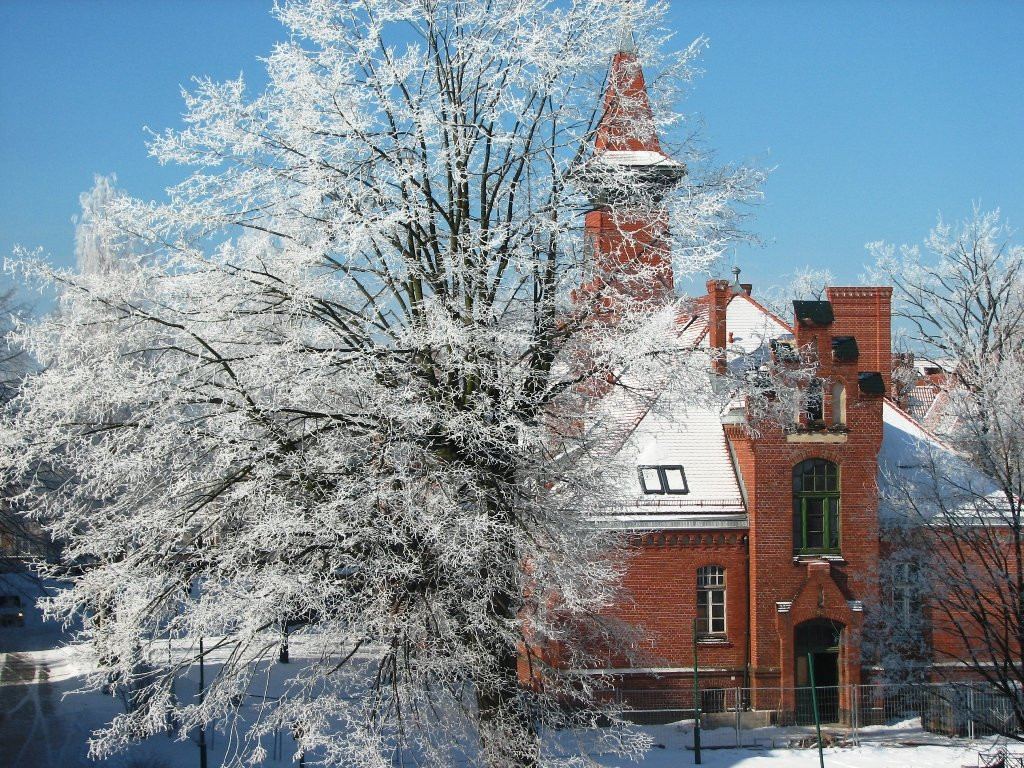 Klaipeda University-克莱佩达必去景点