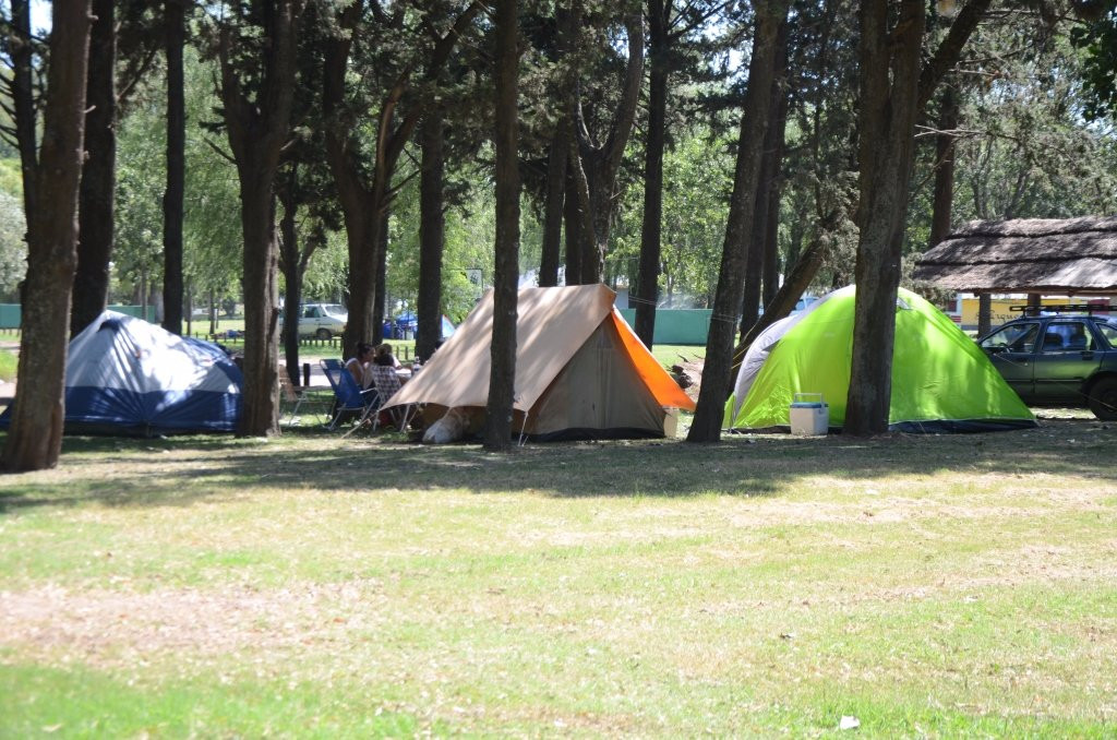 Parque Municipal General San Martin景点图片