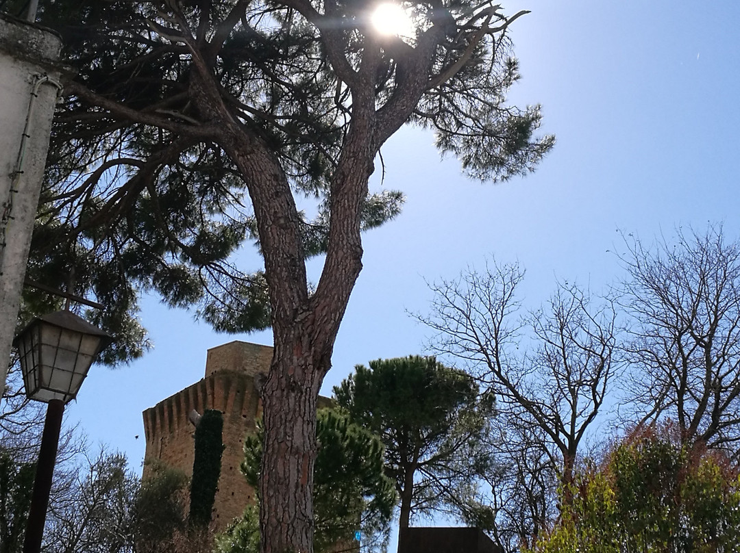 Torre di Oriolo景点图片