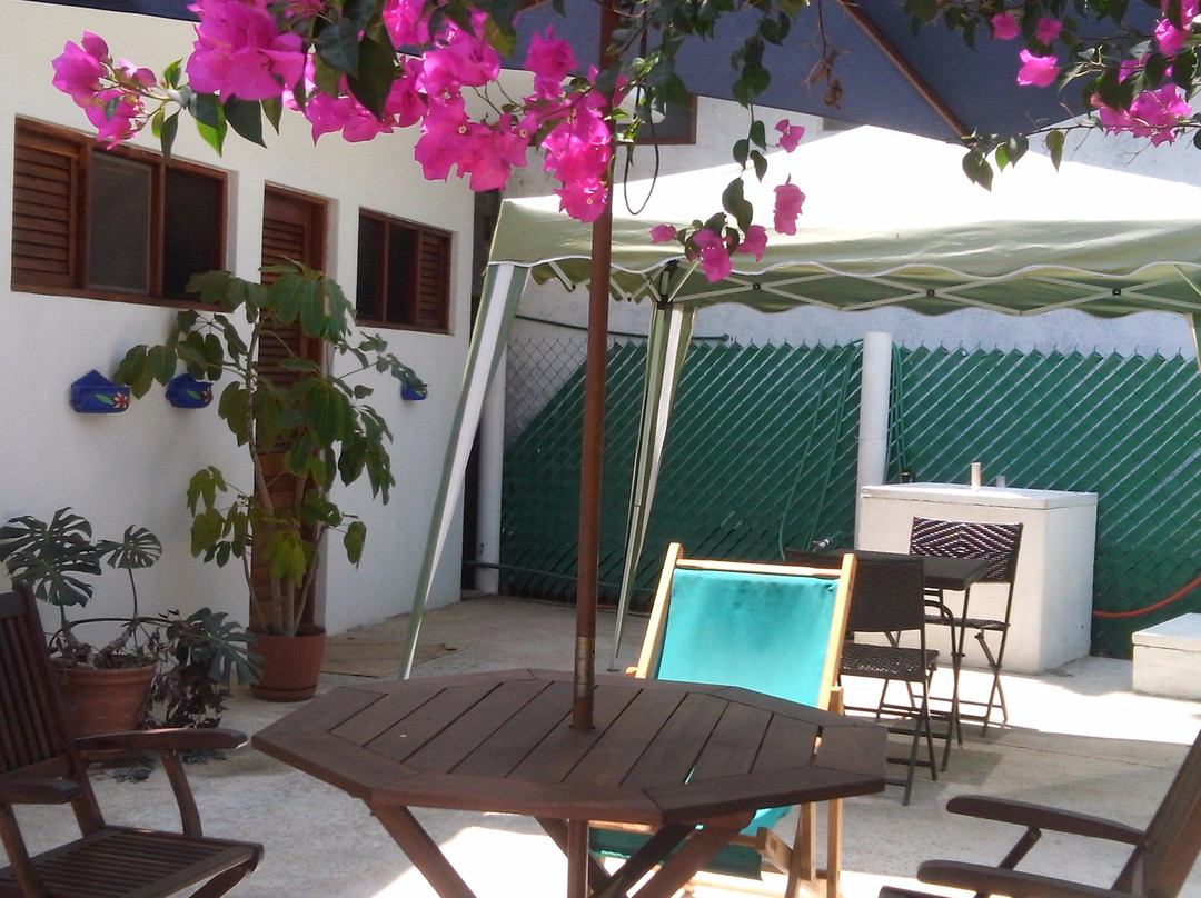 Casa Mazunte Tierra Viva