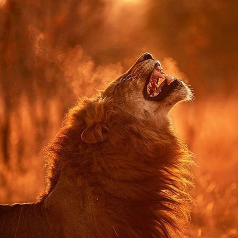 Palmridge Tours and Travels-奇安波必去景点