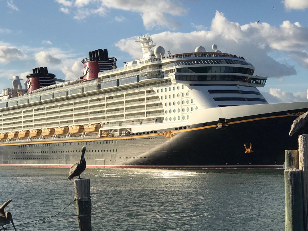 Port Canaveral Transportation景点图片