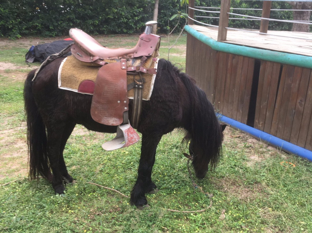 Megua Parque Biotematico-Galapa必去景点