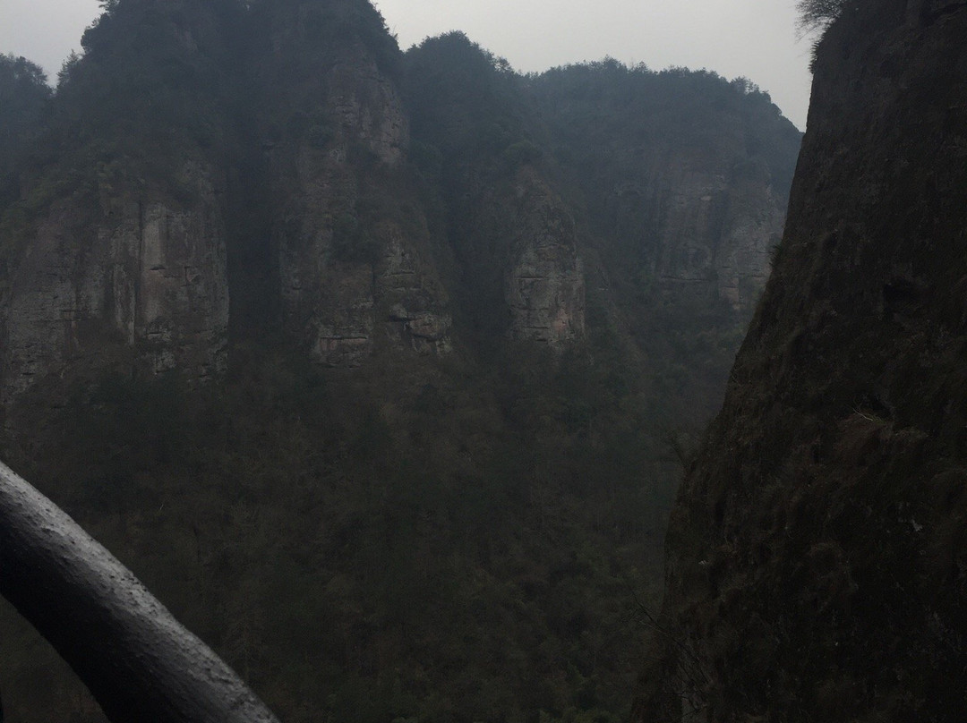 新昌硅化木国家地质公园-新昌县必去景点