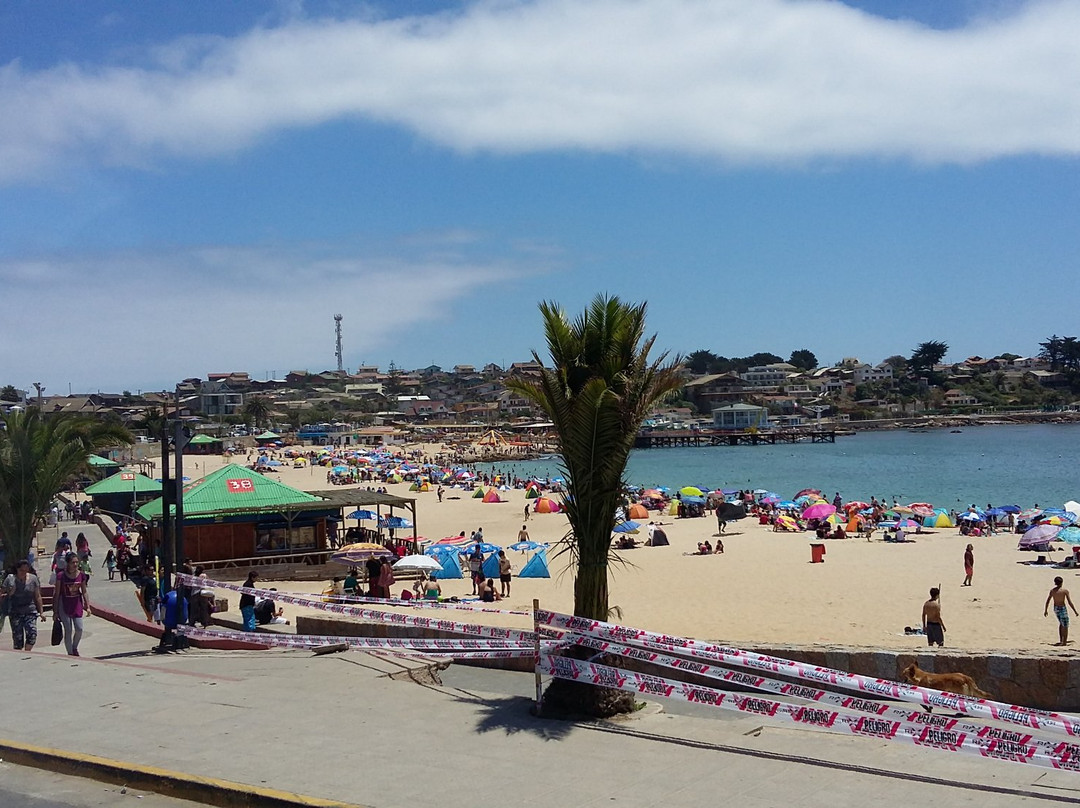 Playa El Quisco景点图片