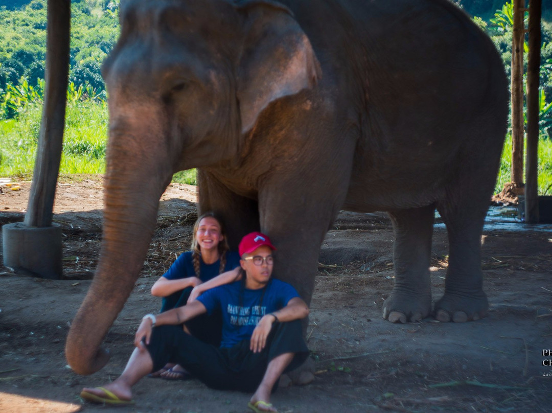 Baanchang Elephant's Paradise-夜登必去景点