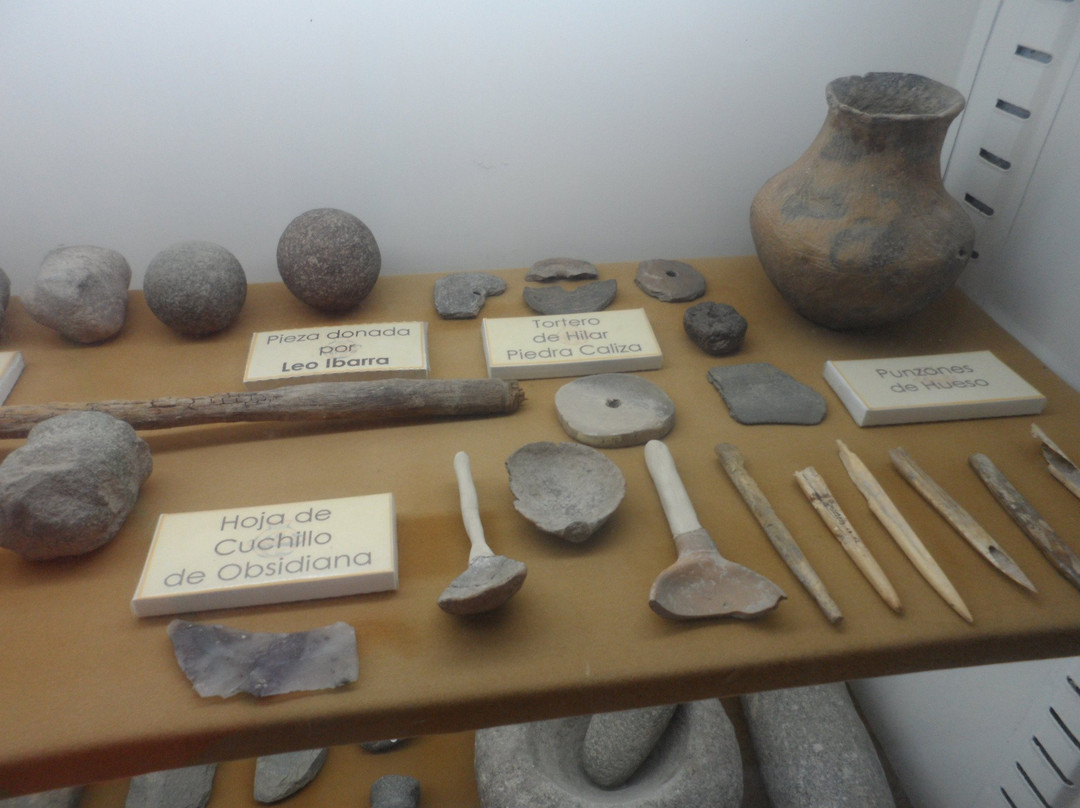 Museo Municipal Rincon de Atacama景点图片