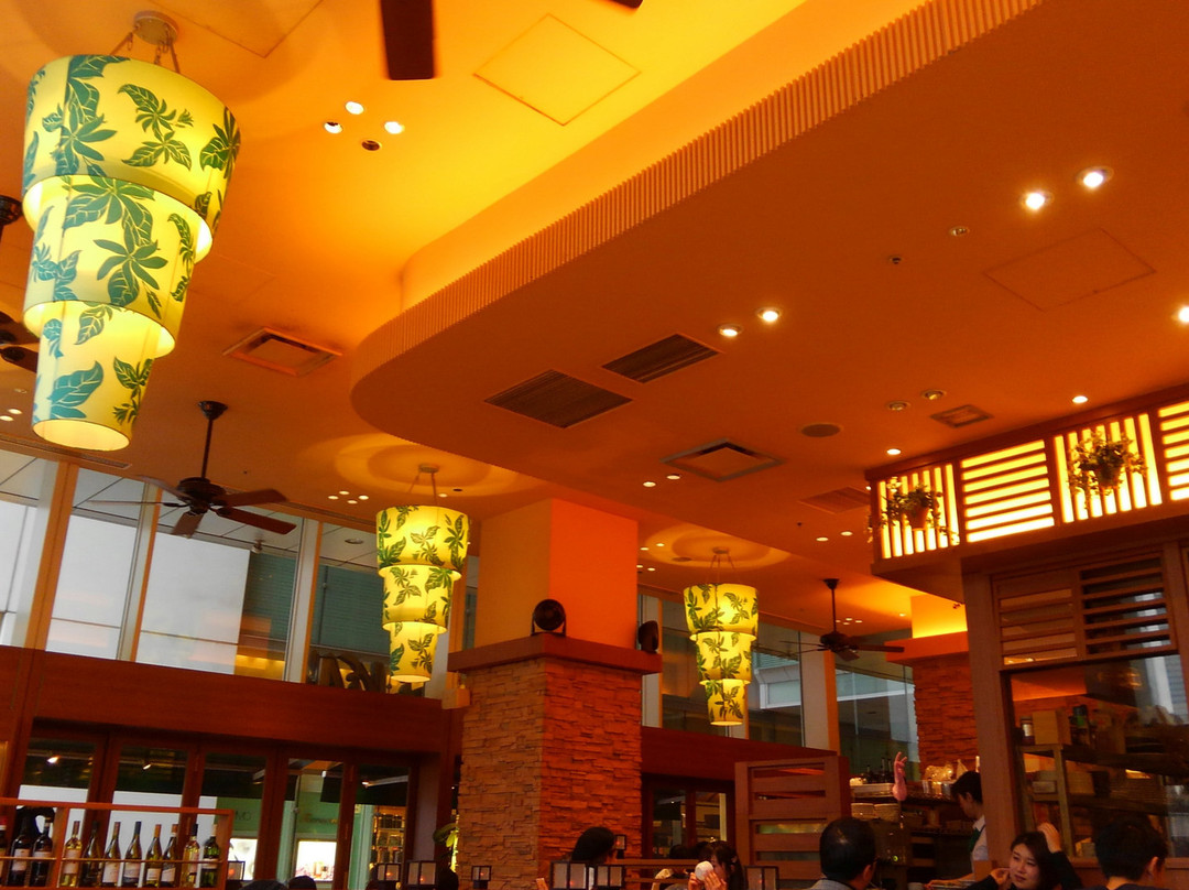 マイアミヴィッラ 有楽町イトシアプラザ店