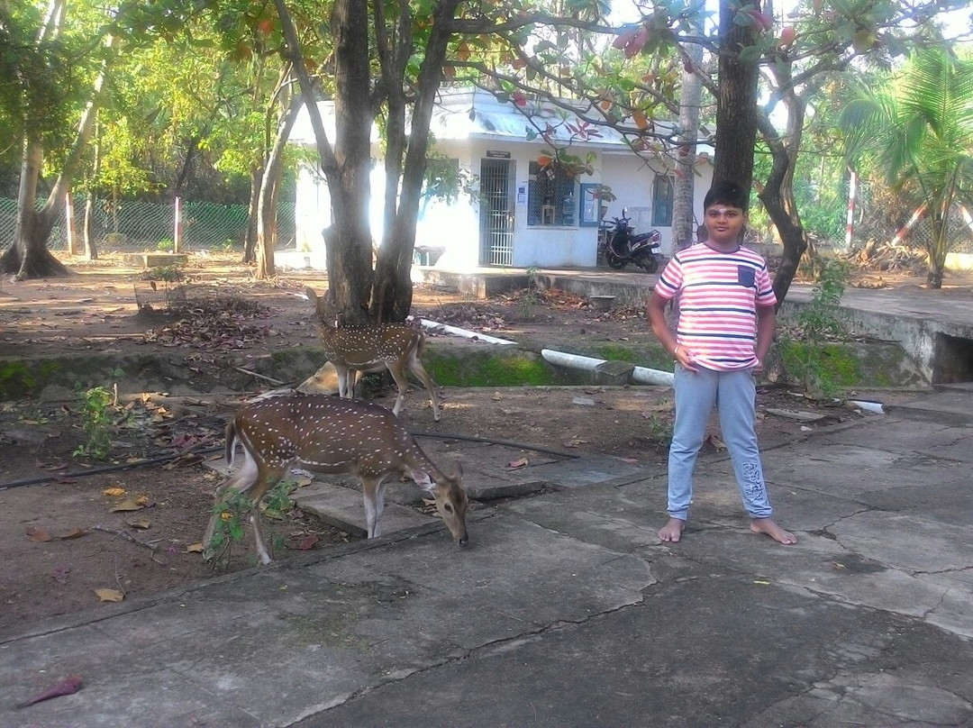 Jalakandeswarar Temple-金奈（马德拉斯）必去景点