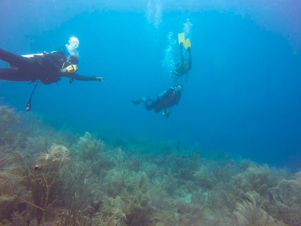 SCUBA Trinidad-西班牙港必去景点