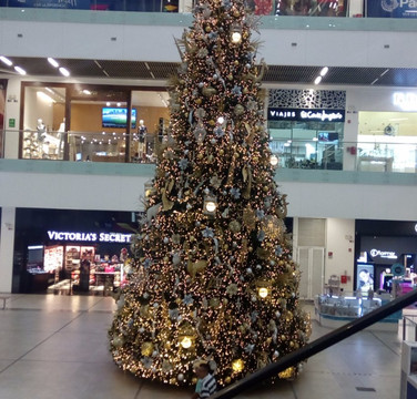 Pacific Mall-卡利必去景点