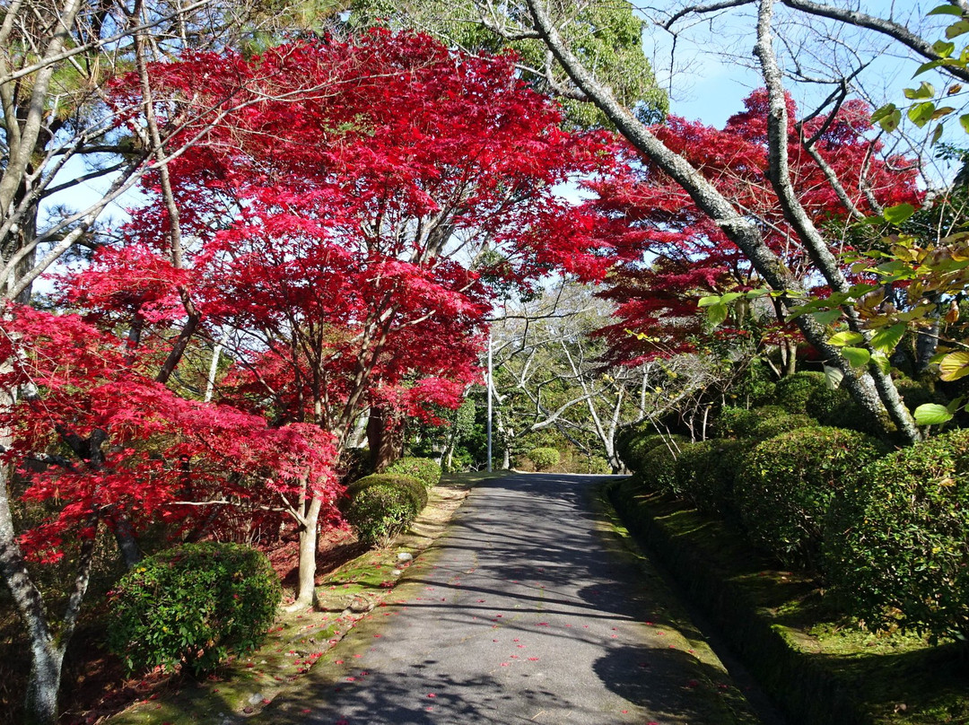 Sugimura Park-桥本市必去景点
