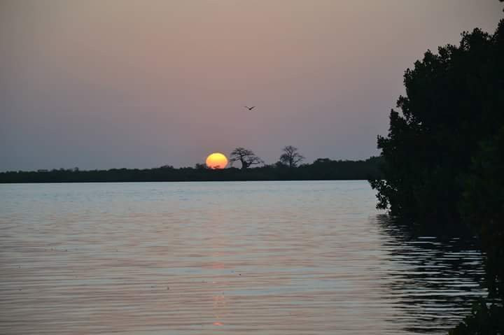 Diegane Diouf Senegal Guide景点图片