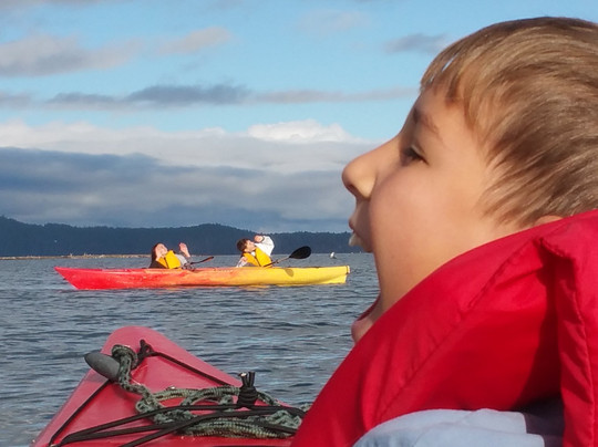 Hood Canal Adventures-Brinnon必去景点