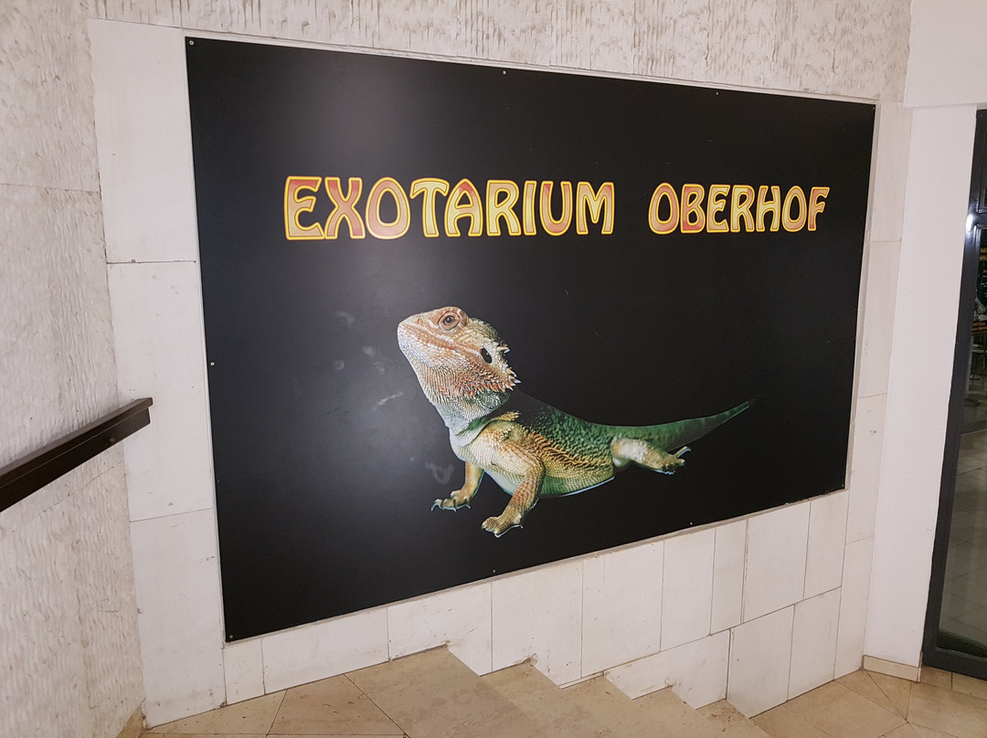 Exotarium-Oberhof必去景点