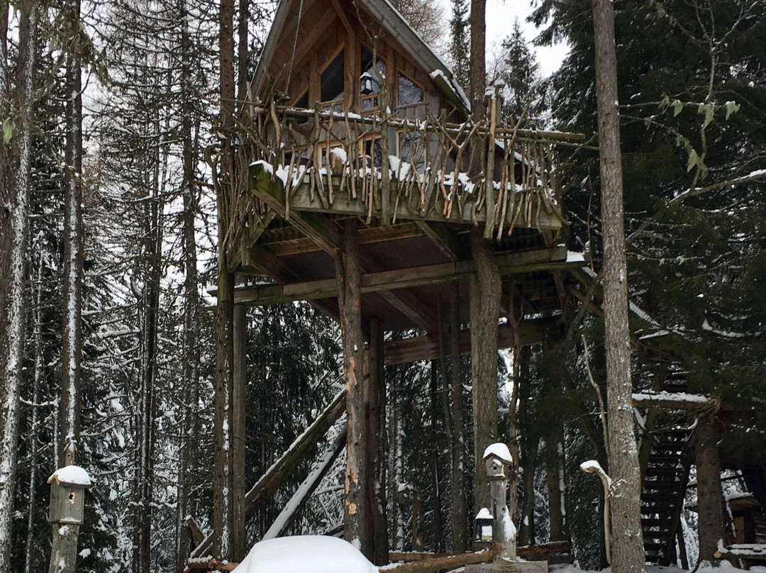 Tretopphytter - Tree Top Hut