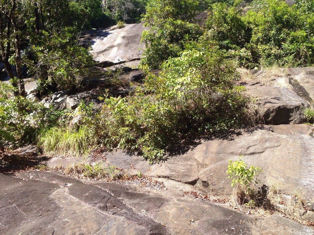 Wooroonooran National Park-Topaz必去景点