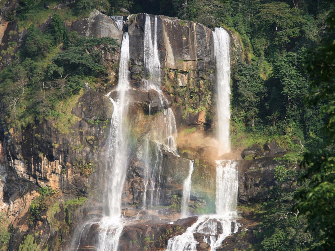 Booking Central Tours & Safari-米库米国家公园必去景点