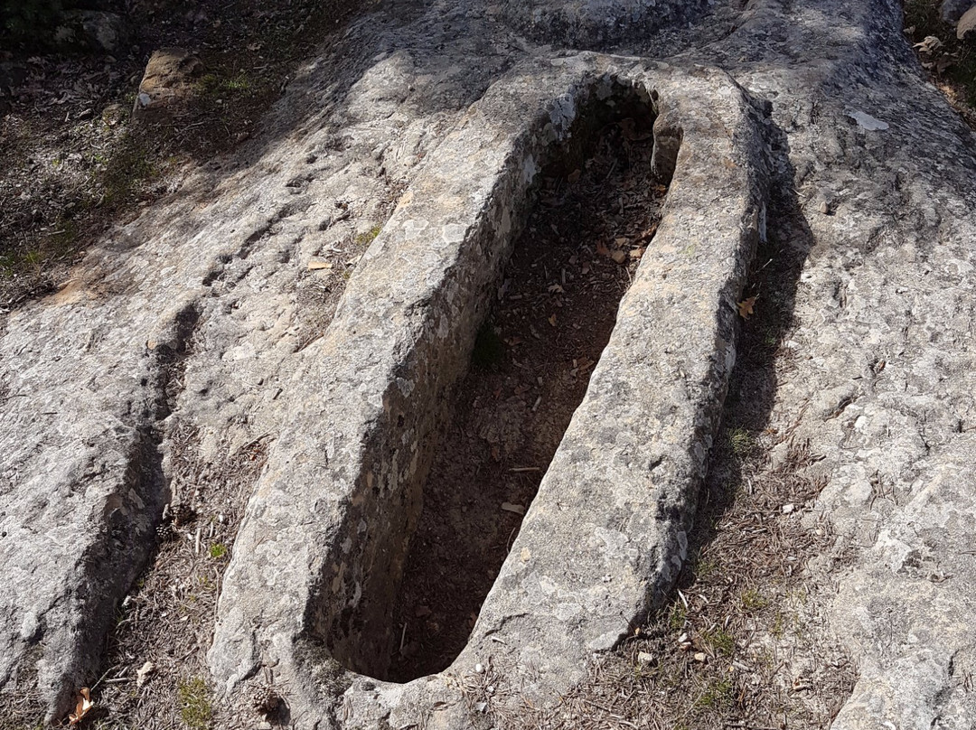 Necropolis de Cuyacabras景点图片