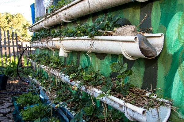 Kula Malaika Foundation-荒野必去景点