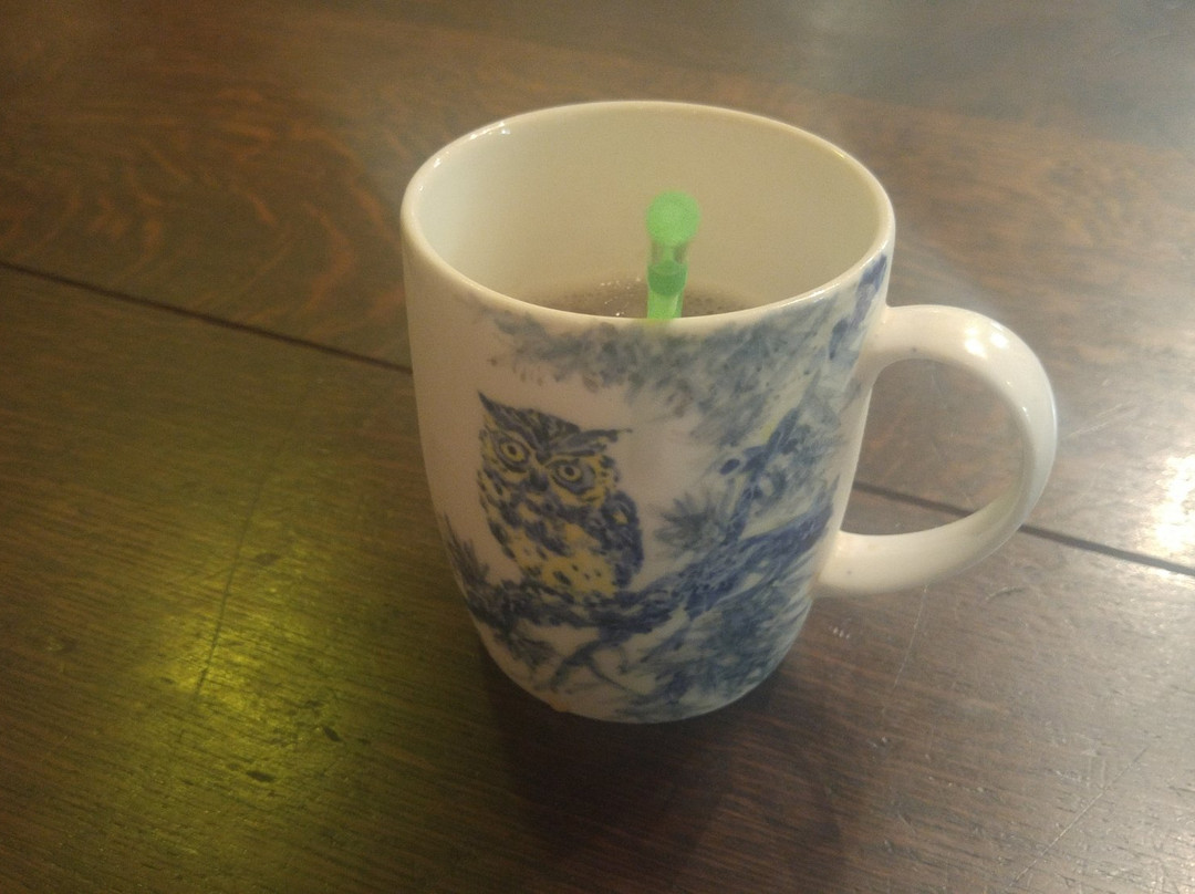 猫头鹰博物馆-首尔必去景点