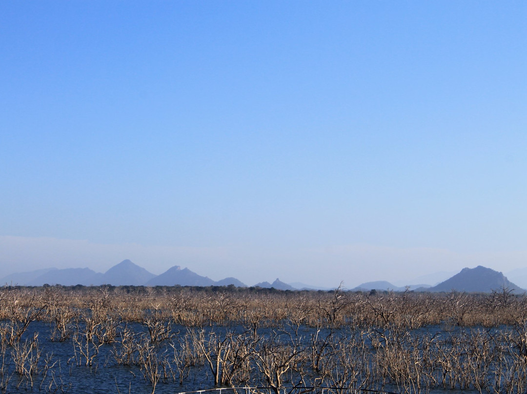 Yala Excursions-雅拉国家公园必去景点