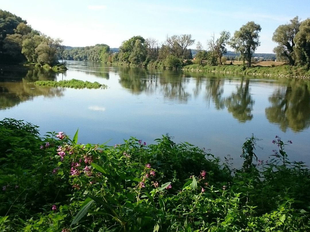 Donaukai景点图片