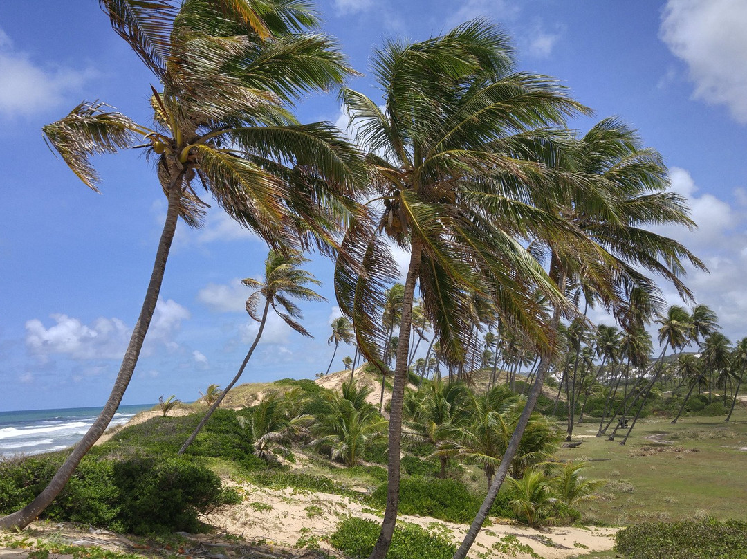 Massarandupio-萨尔瓦多必去景点