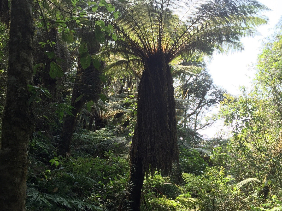 Jukumari Tours - Day Tours-Samaipata必去景点