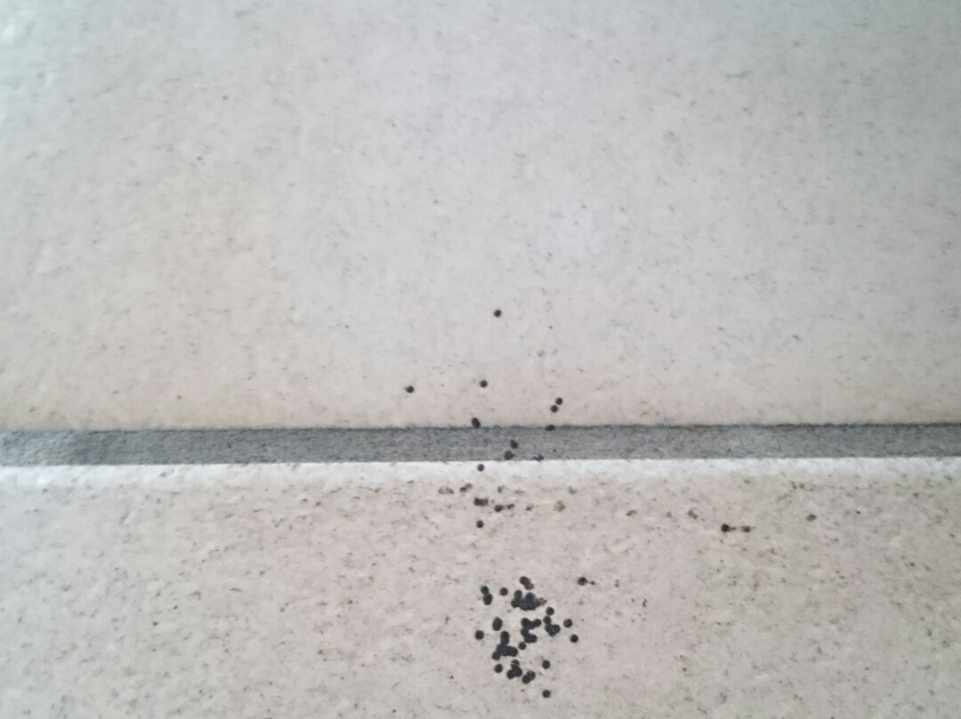 Noordzeepark Zeepolder主图