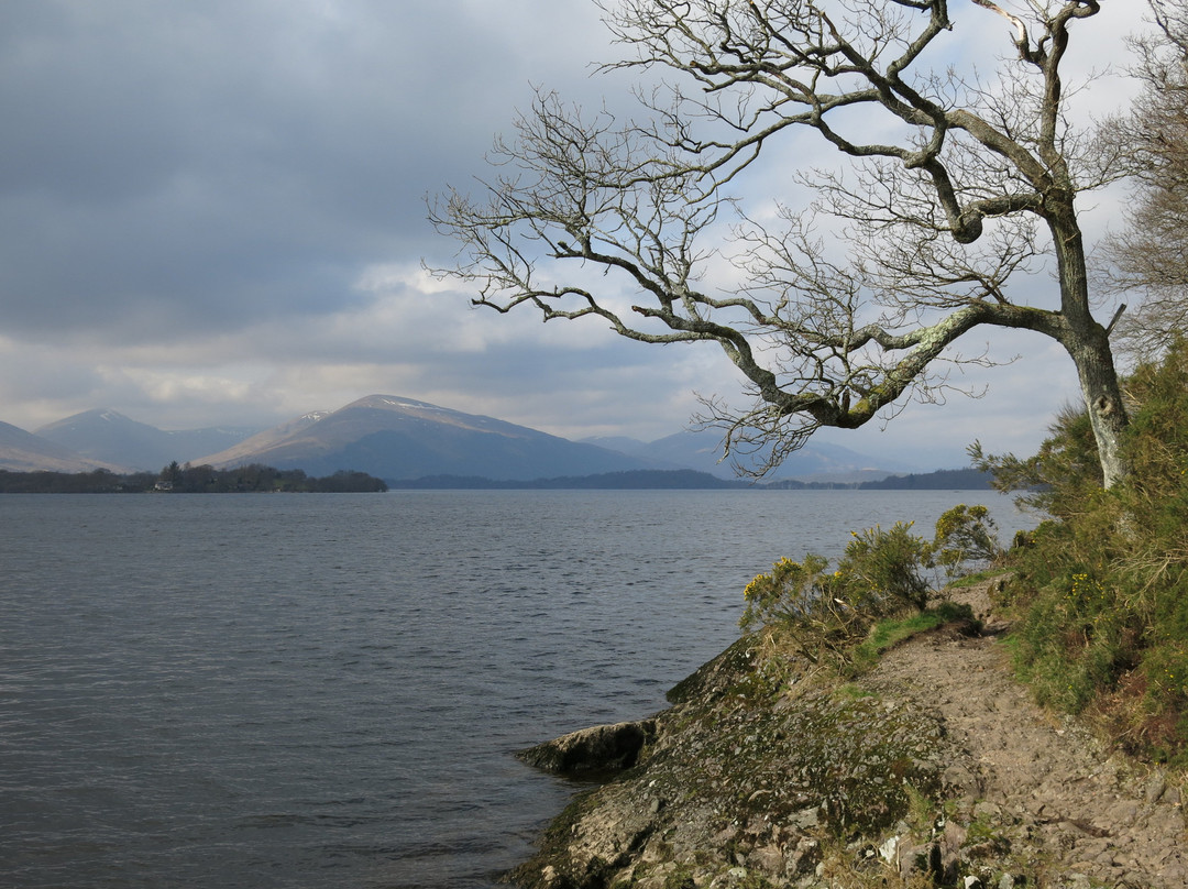 Devere Chauffeur Drive Edinburgh -  Tours-爱丁堡必去景点