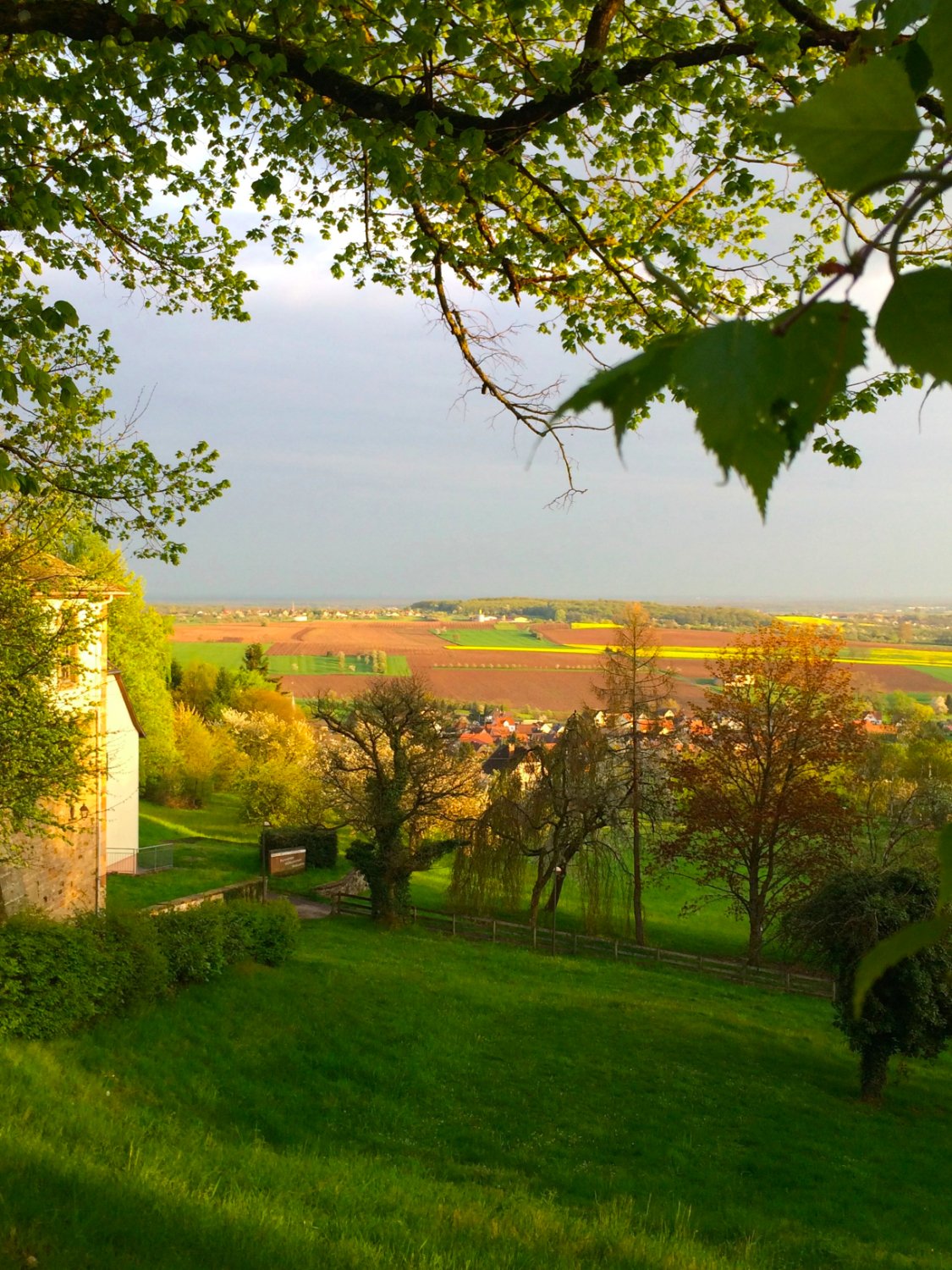 Chateau du Liebfrauenberg-酒店景观