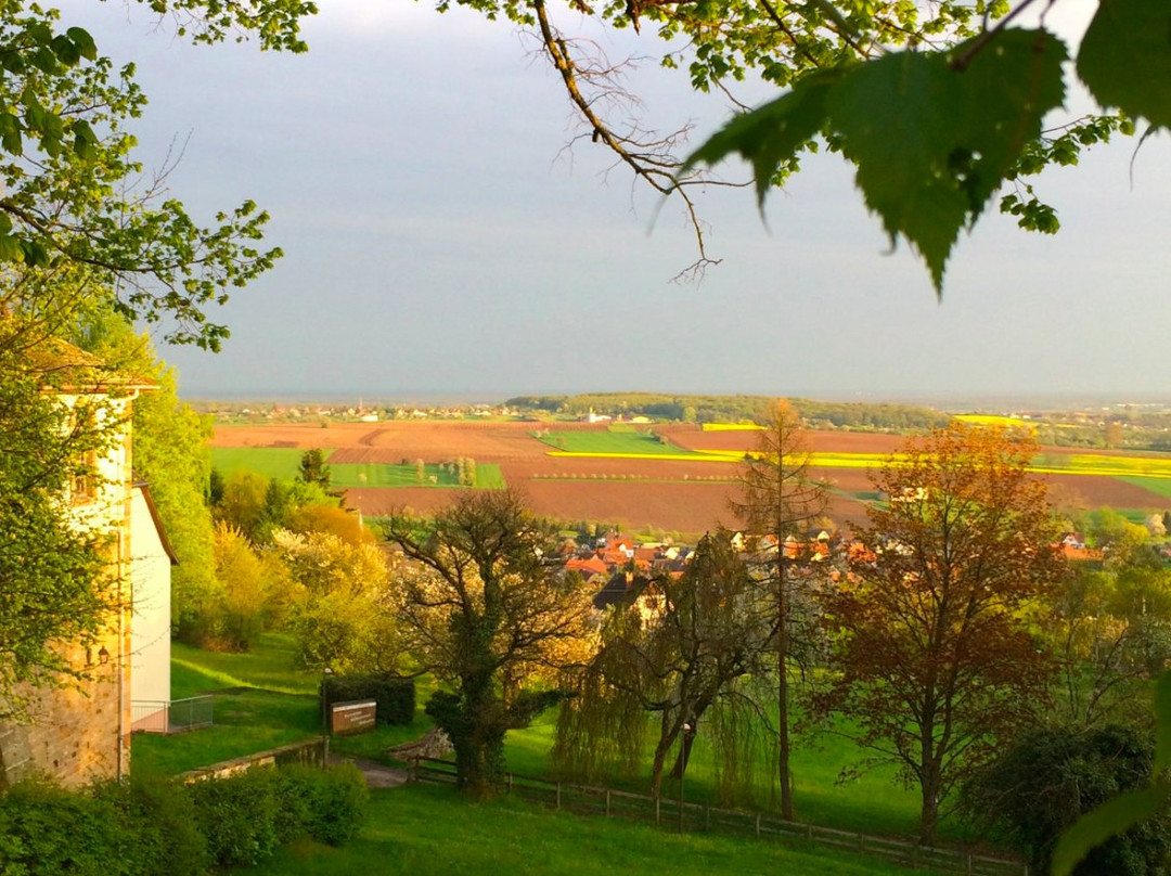 Chateau du Liebfrauenberg主图