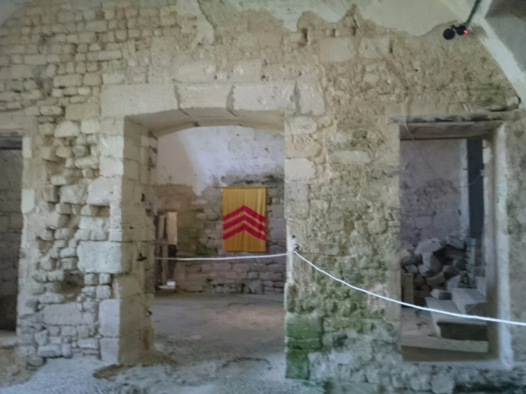 Chateau De Neuvicq-Le-Chateau景点图片