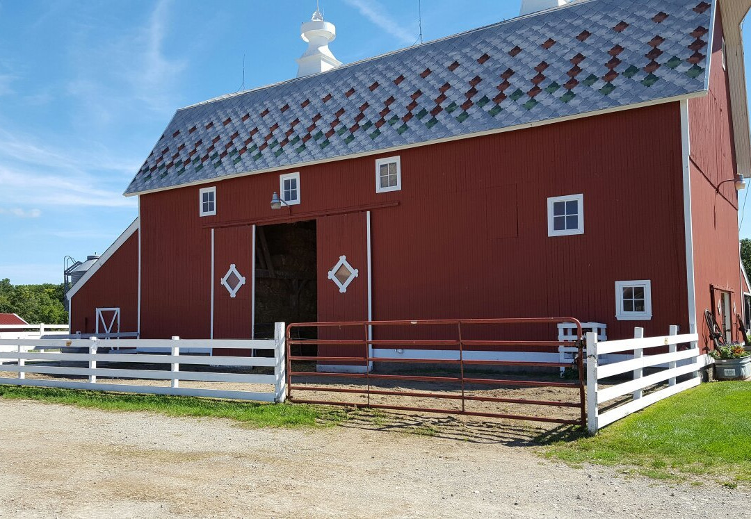 The Petting Farm at Domino's Farms-安娜堡必去景点