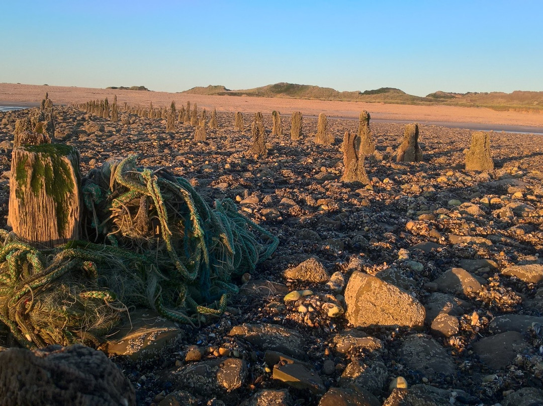 Ambleteuse旅游攻略图片