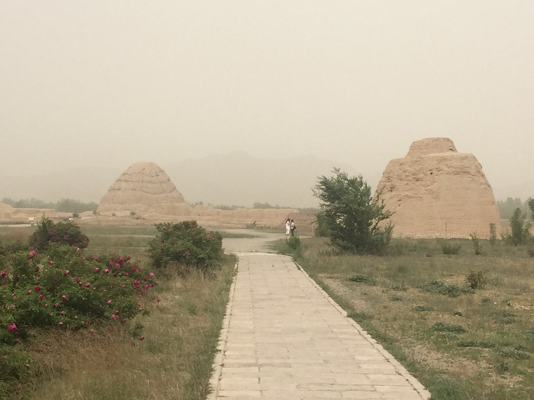 西夏公园-银川市必去景点